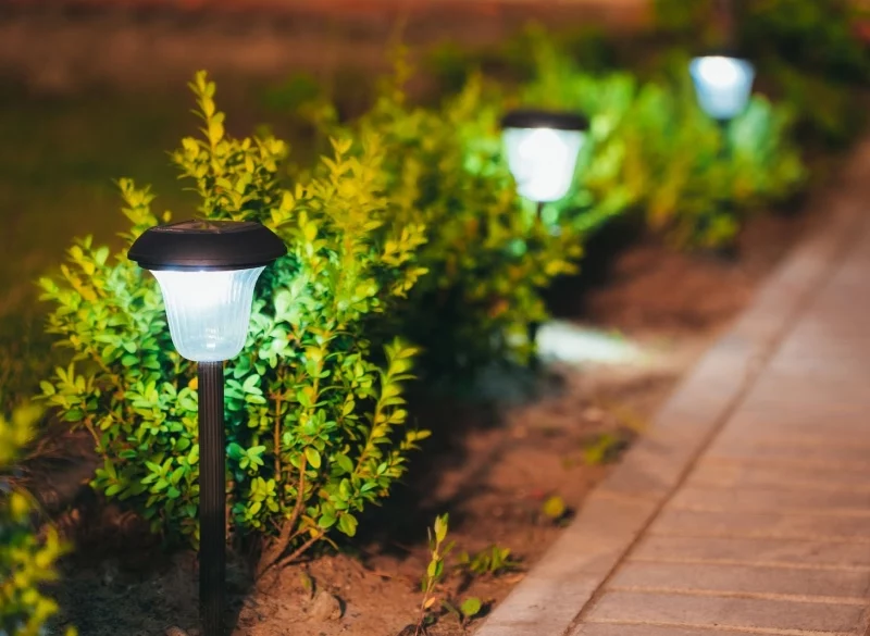 Garden Lighting Installation In Sydney Garden Lighting Installation In Sydney